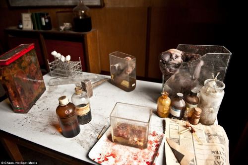 sixpenceee:  An imgur user shared what he calls “The Real Frankenstein Laboratory” hidden in the basement of the School of Veterinary Medicine. This lab was discovered deep in abandoned veterinary school and photographed by MMG Zegwaard. (Source &