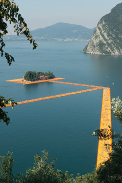 simobutterfly:  The Floating Piers by Federico