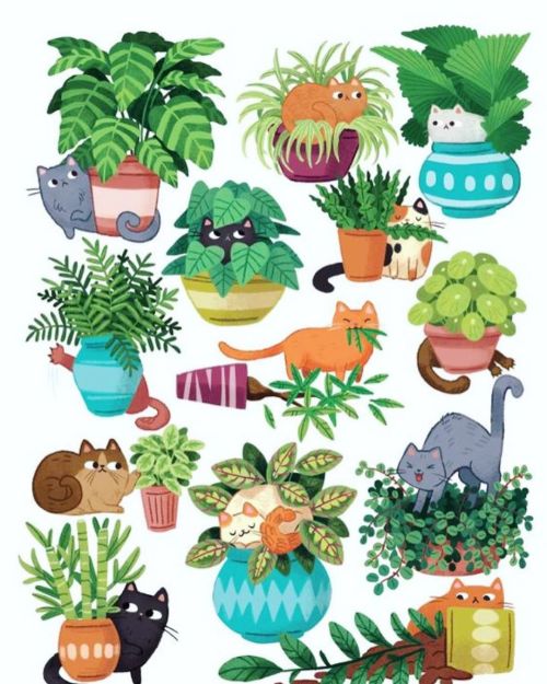 My Cats in Planters print is now available in my Etsy shop! michiscribbles.etsy.com #etsyshop #catar