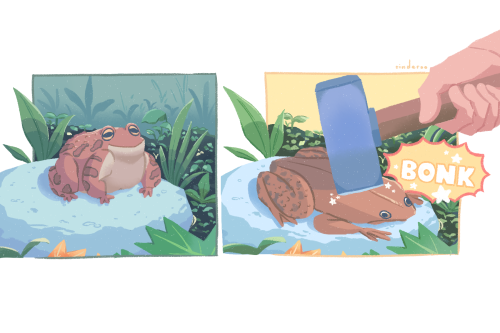 it’s flat toad tuesdayinspired by this tumblr post: x