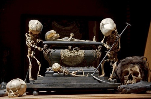 Fetal Skeleton Tableau, 17th Century, University Backroom, Paris The Secret Museum exhibit photographed and curated by Joanna Ebstein