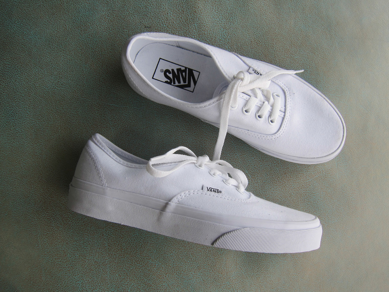 blank canvas vans