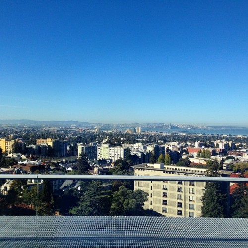 Not a bad view from @CalHacks.