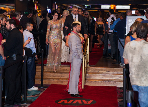 Jan 2014AVN Award Show Red CarpetHard Rock Hotel, Las VegasNikki Phoenix & Miles, with Moment just behind them.