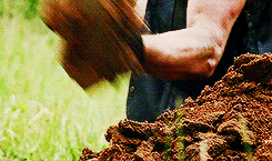  The Walking Dead  — 4x01; Infected 