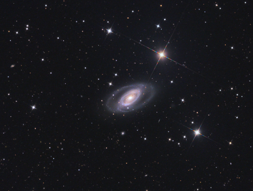 mtfuji:NGC 1350 in Fornax