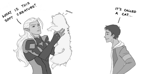 a-jasminator: Lotor would 100% be a cat person.