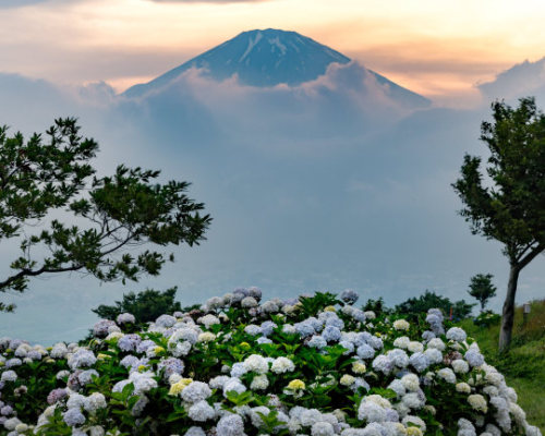 uroko:Shinichiro Saka 