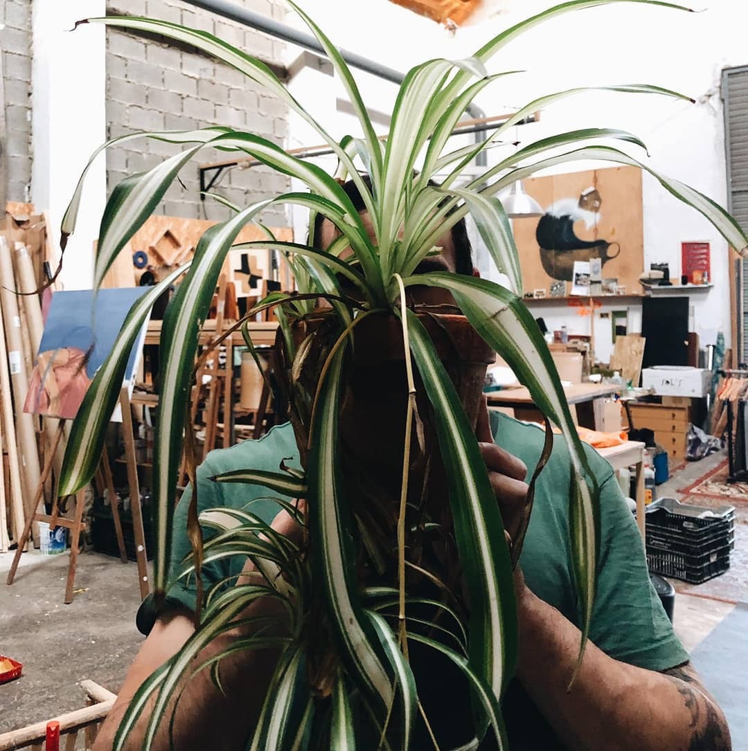 artinwreck:  Plantéate tu vida. 📷 @stanlaurentiu