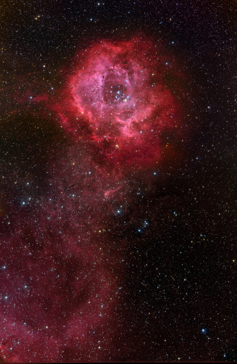 The Rosette Nebula (source)