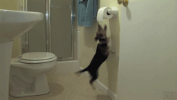 ı̶̆̑ͪ̋͗̑̉̏̾͐ͣͤ̆͊̿̎ͮͬ̚͏̸̢̥̮̤͉̱̬̺͕
