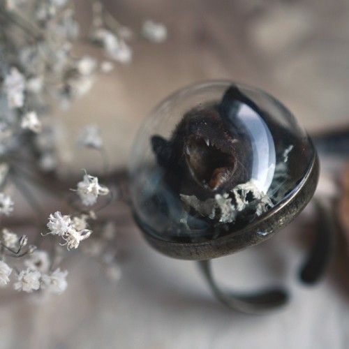 ladylockslife:  Preserved Bat Head with lichen inside a glass dome ring! Only 1 available! Now on etsy: www.ladylockscreations.etsy.com 