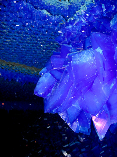 likeafieldmouse:  Roger Hiorns - Seizure (2008) A condemned London apartment transformed into a copper sulphate chamber. “After reinforcing the walls and ceiling and covering them in plastic sheeting, 80,000 litres of a copper sulphate solution