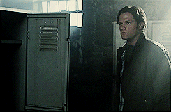 out-in-the-open:  Mighty Winchesters vs cats 