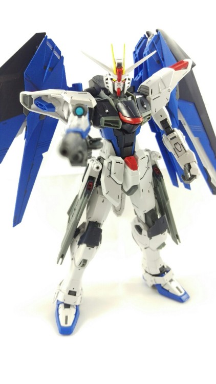 [MG Freedom 2.0]