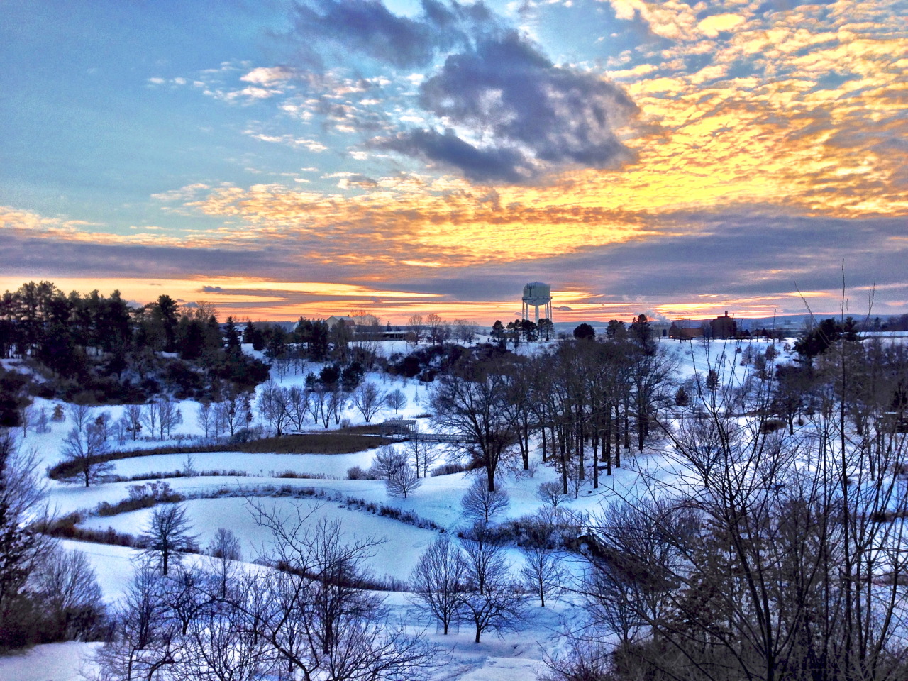 Sunset in the Arboretum. Photo by Kevin Emr ‘10
Like arboreta world-wide, the F.R. Newman Arboretum is a place for the scientific study and public exhibition of a diversity of trees and shrubs.
Before becoming an arboretum, this area was part of a...