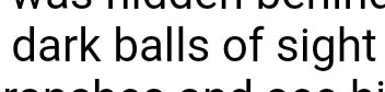 pancakeke:  birdantlers: Everybody go tf home I have officially found a worse name for eyes than ‘orbs’ can’t believe I had to read this with my own balls 