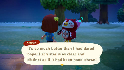 I absolutely lack the required patience to wait around for a shooting star, sorry Celeste. 