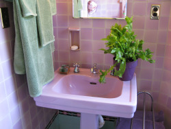 plizm:  Bathroom tile and Sink, 2008Sunshine