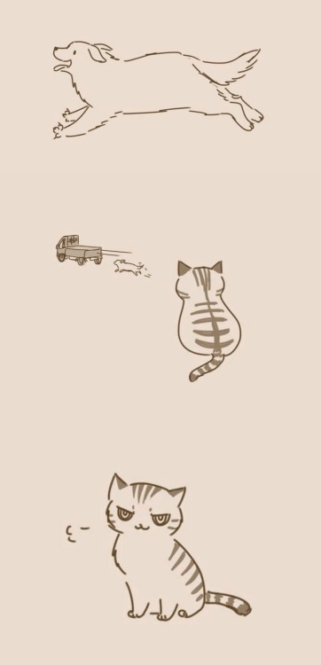 princesstigerbelle: kirujin: pr1nceshawn: Dogs And Cats by Lynol . aw It’s 2 am and I swear I&