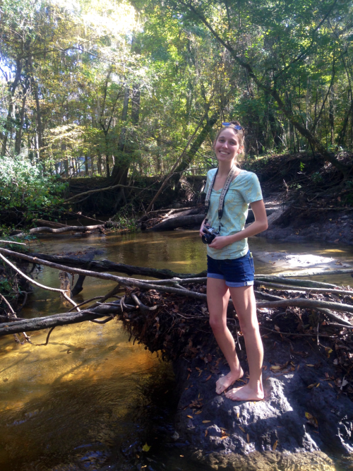 saralovesgiraffes: Loblolly Woods || Gainesville, Florida. sexynarwhals