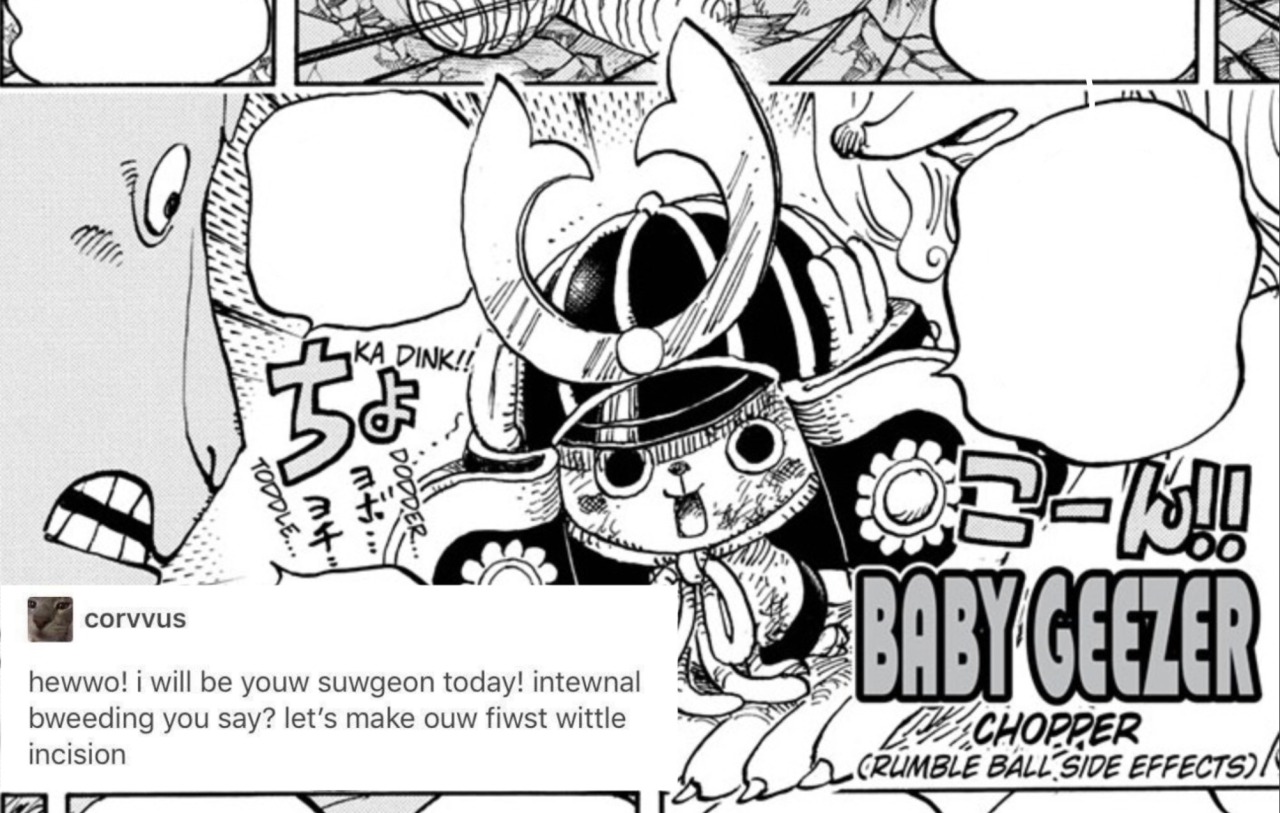 one piece side blog — love how good chopper's been in wano! so far he's