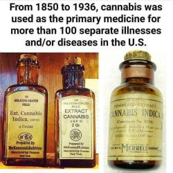 questionall:  And today it’s completly illegal, hmmm I wonder why??? No money in the cure? Too many possible uses besides medicine? Too many industries would have to actually compete with a weed?  It’s sustainable? 