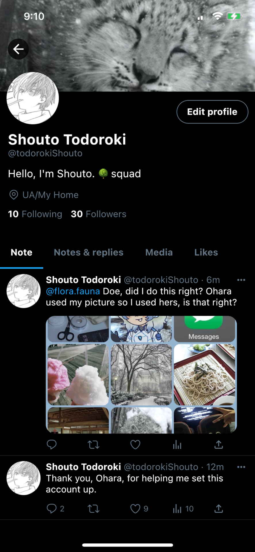 Tumblr media