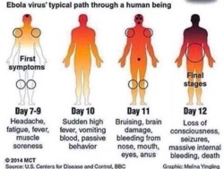 kaguramutsuki:  callmehealy:  THIS TOO GUYS. BE SAFE.  &ldquo;be safe&rdquo; two goddamn people in the US are infected you guys need to chill the fuck out