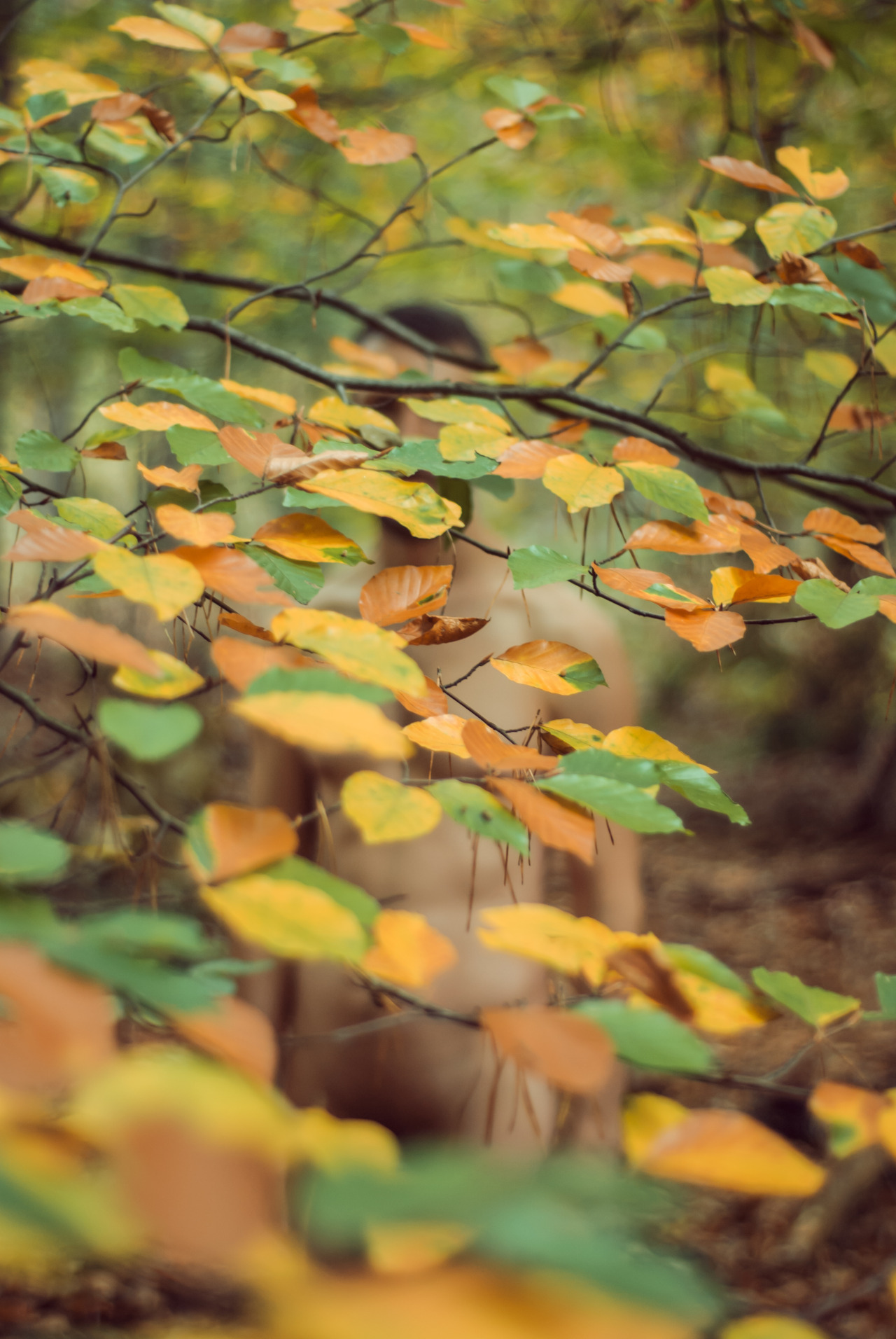 summerdiary:  manuelmoncayo-diary:  Gunnar, 13.Oct.2014 The sentences were short