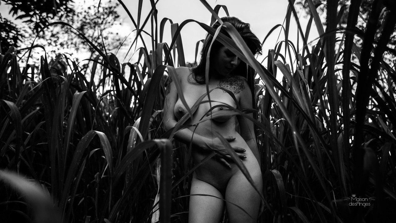 maisondesanges:    Lauanyby Yogue AlencarFollow me on Instagram: @yoguealencar  