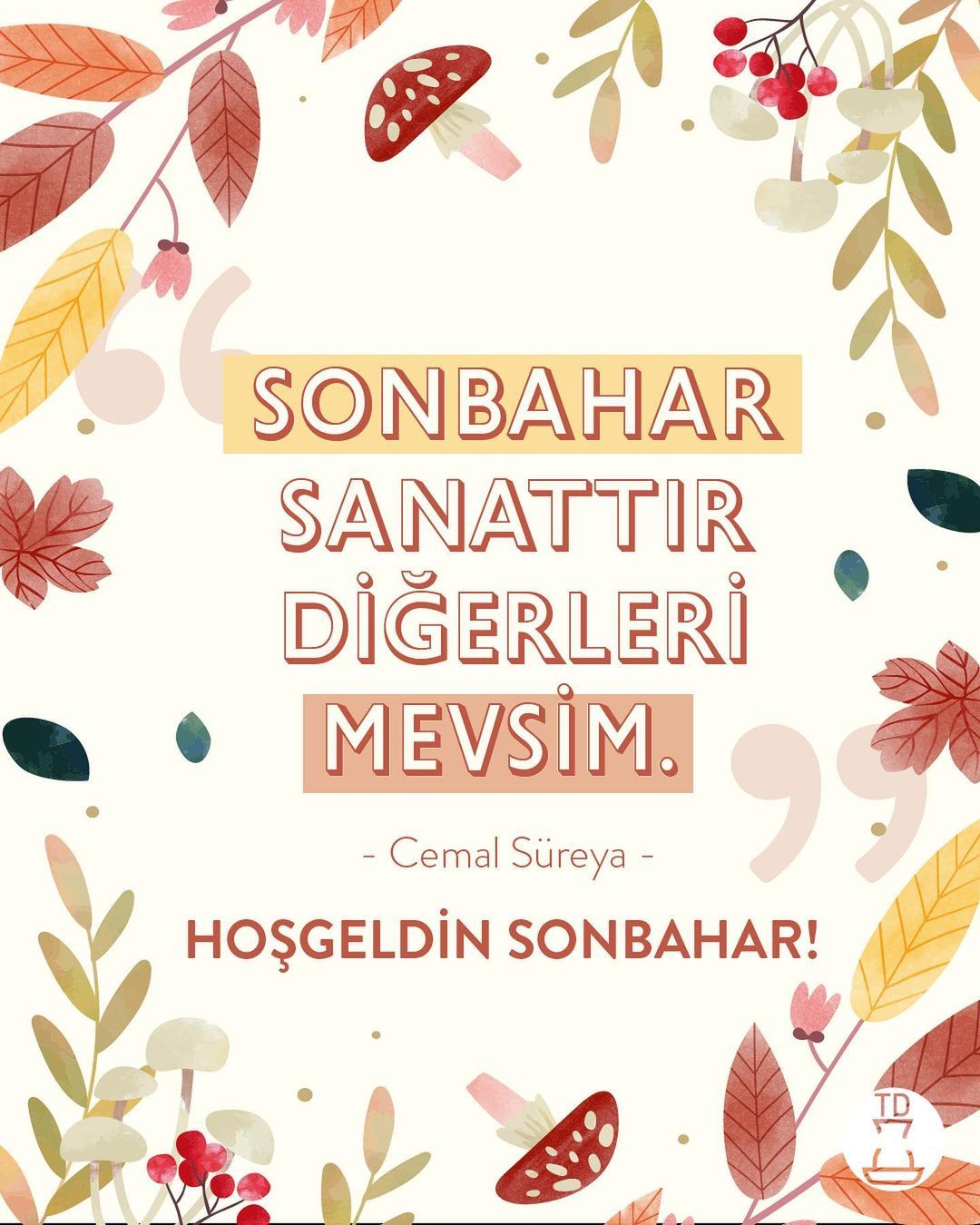 Sonbahar tüm güzelliğiyle...