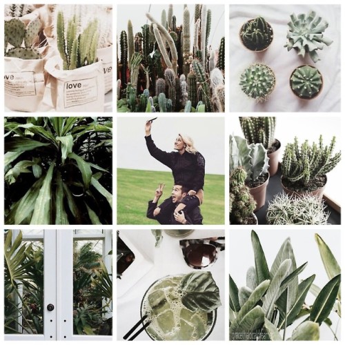 Tyler and Jenna x plants aestheticHi guys I know it’s been a while since my last post but my laptop 