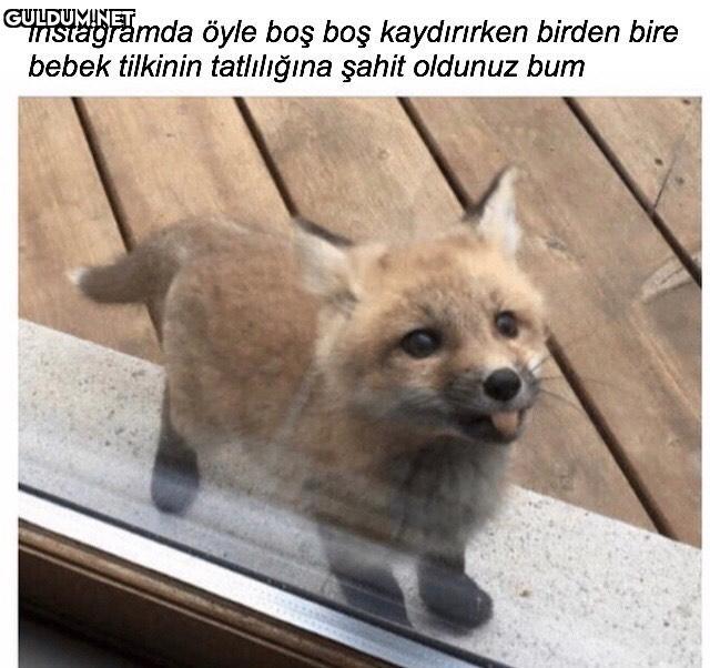 hazırlıksız yakalandınız...