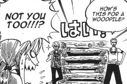 Porche-Chan:  They’re So Proud.one Piece, Chapter 253 