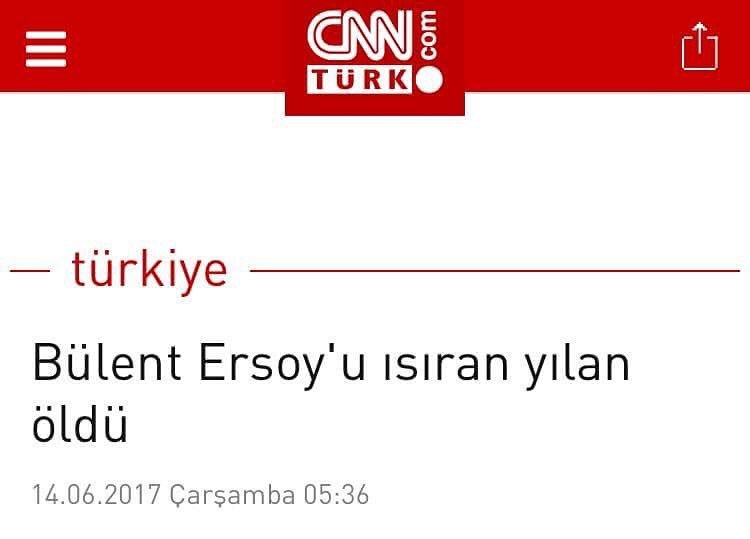 Bülent Ersoy'u ısıran yılan öldü