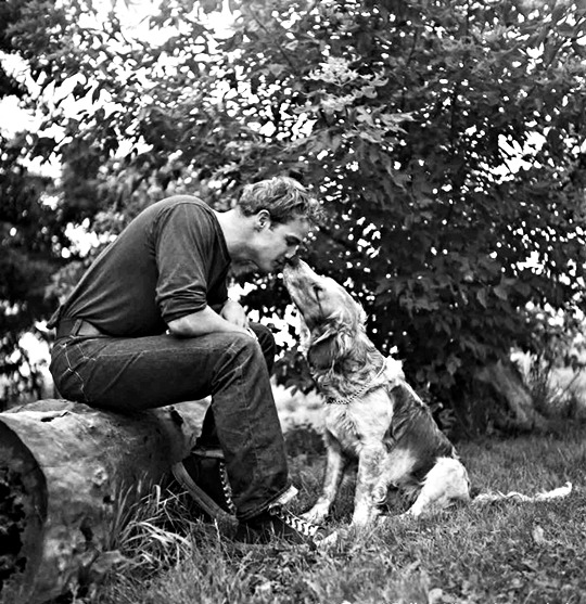 babeimgonnaleaveu:Marlon Brando and family dog photographed by Art Shay, early 1950s.