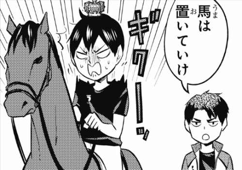 (Translation)Ushijima: leave the horse hereKageyama: (GYA)