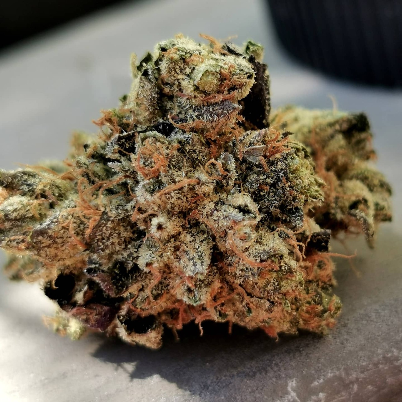bluntlust:Pink Kush