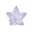 faetasie