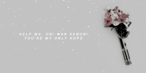bottomkirk: leia + favourite lines for @theresistancenet’s women of star wars revamp event