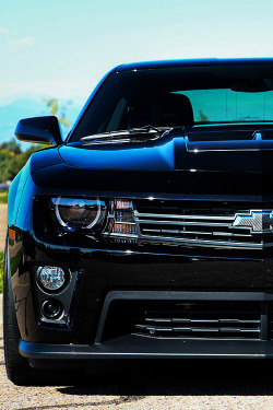 fullthrottleauto:  Shiny Badge (by Hunter J. G. Frim Photography) (FTA)