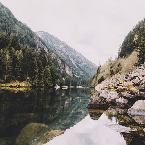 heidigrainger: + nature