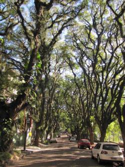 brazilwonders:  Rua Gonçalo de Carvalho - Porto Alegre, Rio Grande do Sul (by Daniel Wagner)