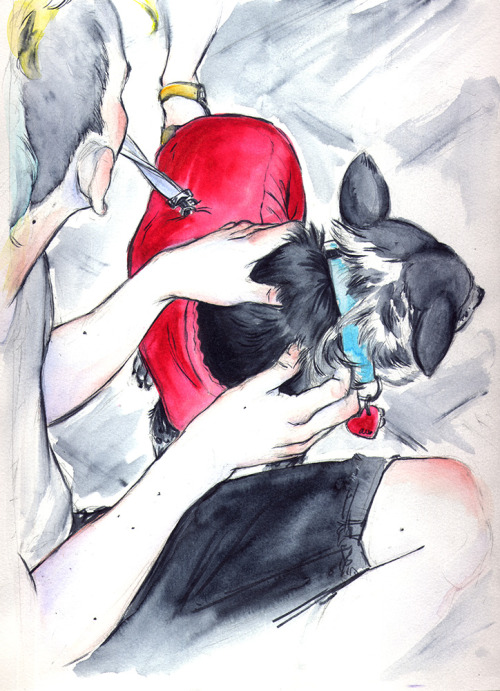 Another sketchbook page from last year of my love with a delightful dog, miss Suzy&hellip;my 2k1