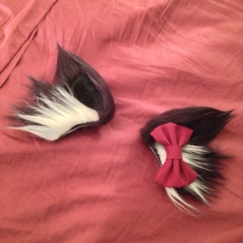 oujis-kitten:  Today was a good mail day! Unfortunately this kitty is sick as heck.   Ears: Grimmfabrications Bow: Kumacreations (use oujibuns for 10% for a whole week!) Paws: depop  (Please leave my captions in tact, otherwise you will be blocked + blows