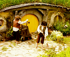 glorfindhel:  lotr meme: three races [1/3] → hobbits 
