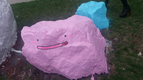 talikira:  So the university has these rocks you can paint, usually for special events, so for our anime con we painted them as dittos— it’s actually really uncanny how well the shape works for the shiny ditto— I know they’re just blobs, but even