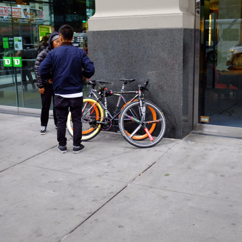 bisikleta:  Fixies, Fifth Ave, New York, 2013 (by Mal Booth)