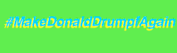 thebiophone:  ‘Cause he should be proud, right? [image description: a .gif reading “#MakeDonaldDrumpfAgain”. The text and the background cycle through green, blue, and yellow. End description.] 